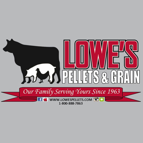 lowes2